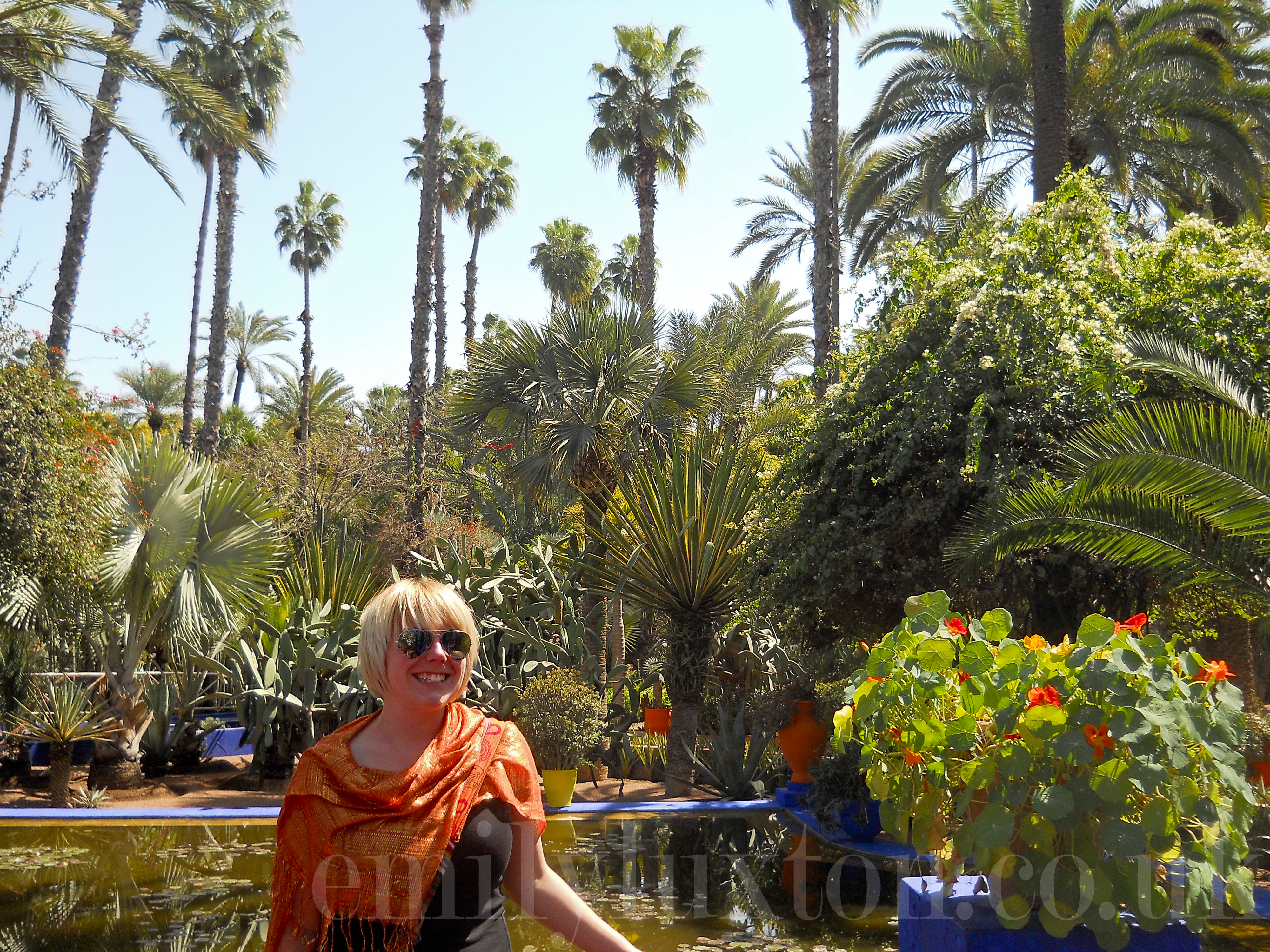 Spellbound at Les Jardins Majorelle in Marrakech