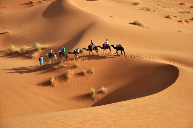 how to visit the desert in morocco