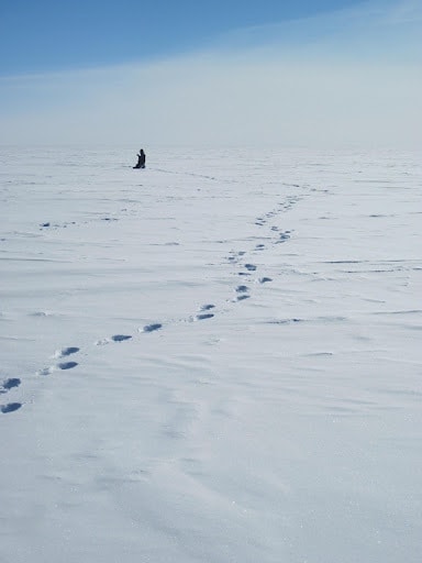 flat snowscape in antarctica on a slightly misty day with a trail of footsteps leading away from the camera and a tiny human figure silhouetted against the white ice in the distance