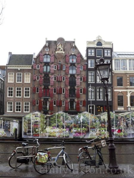 three bikes against a metal fence next to a canal with a row of market stalls on the far side decorated with photos of greenhouse interiors