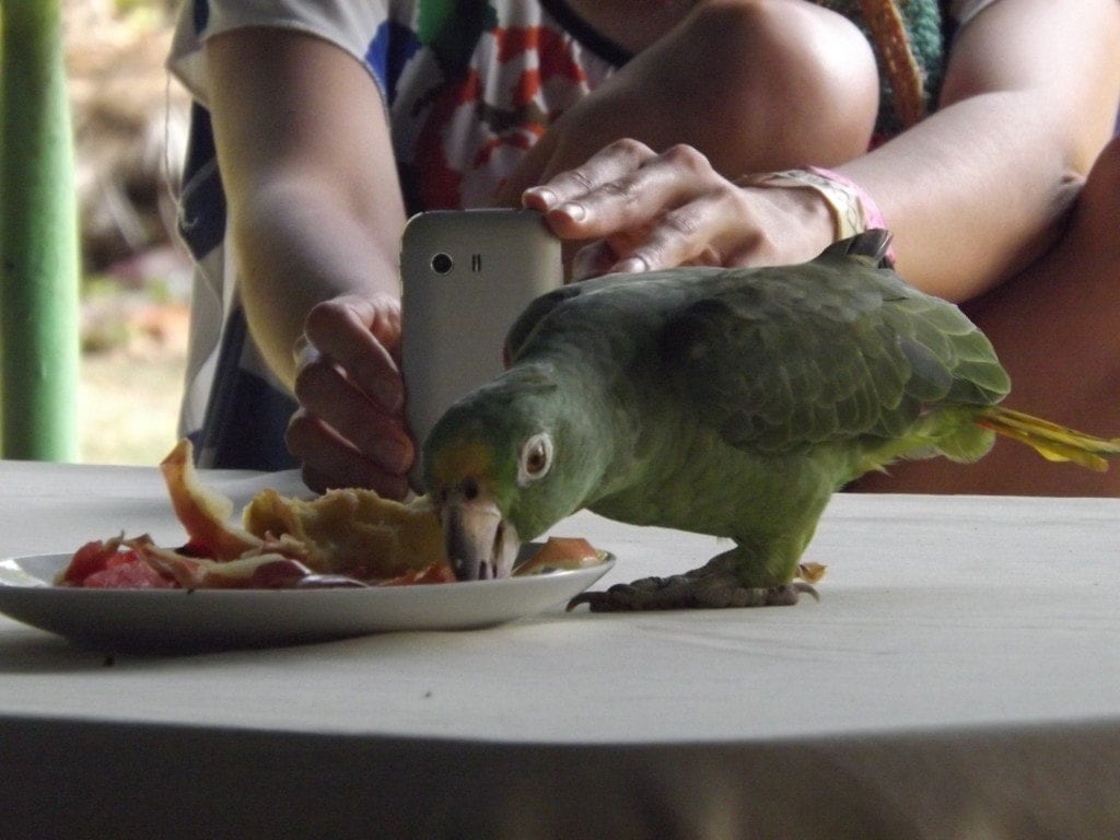 Camping, Hiking and Snorkelling at Tayrona National Park