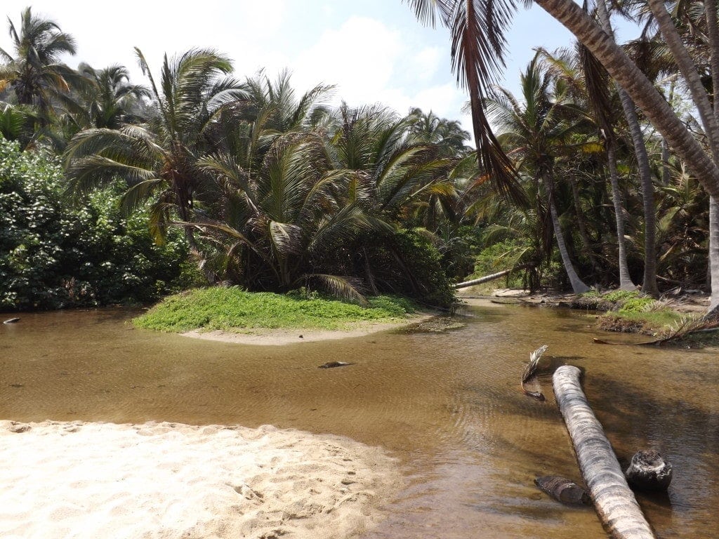 Camping, Hiking and Snorkelling at Tayrona National Park