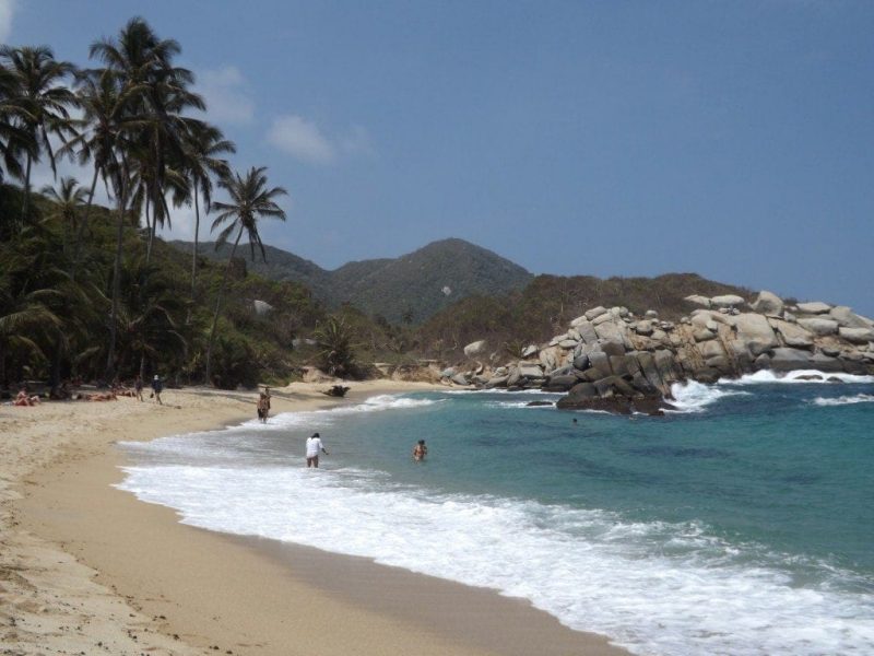 tropical beach with palm trees and golden sand with a small green hill in the distance and large grey rocks at the end of the beach