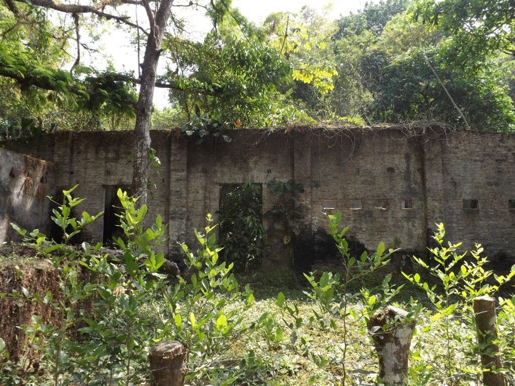 Minca - Ruined building