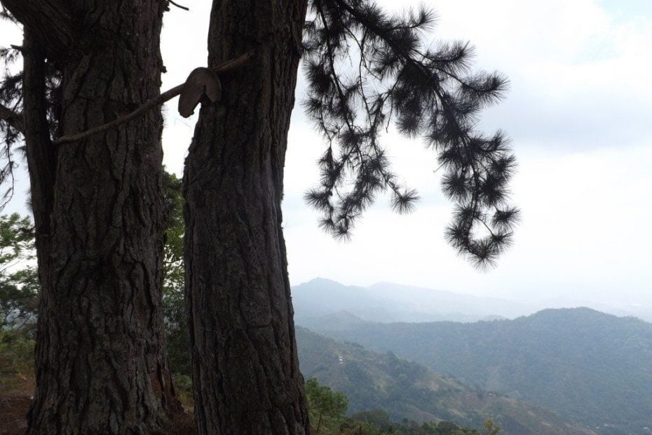 Minca, Part Two - The Seven Hour Hike
