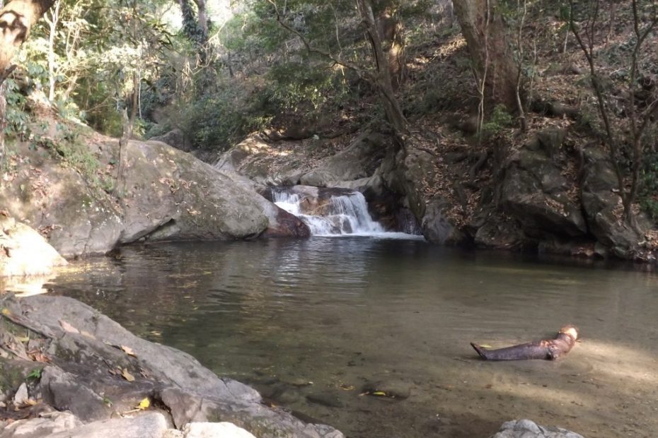 Minca, Part Three - More Waterfalls and Taking the Plunge