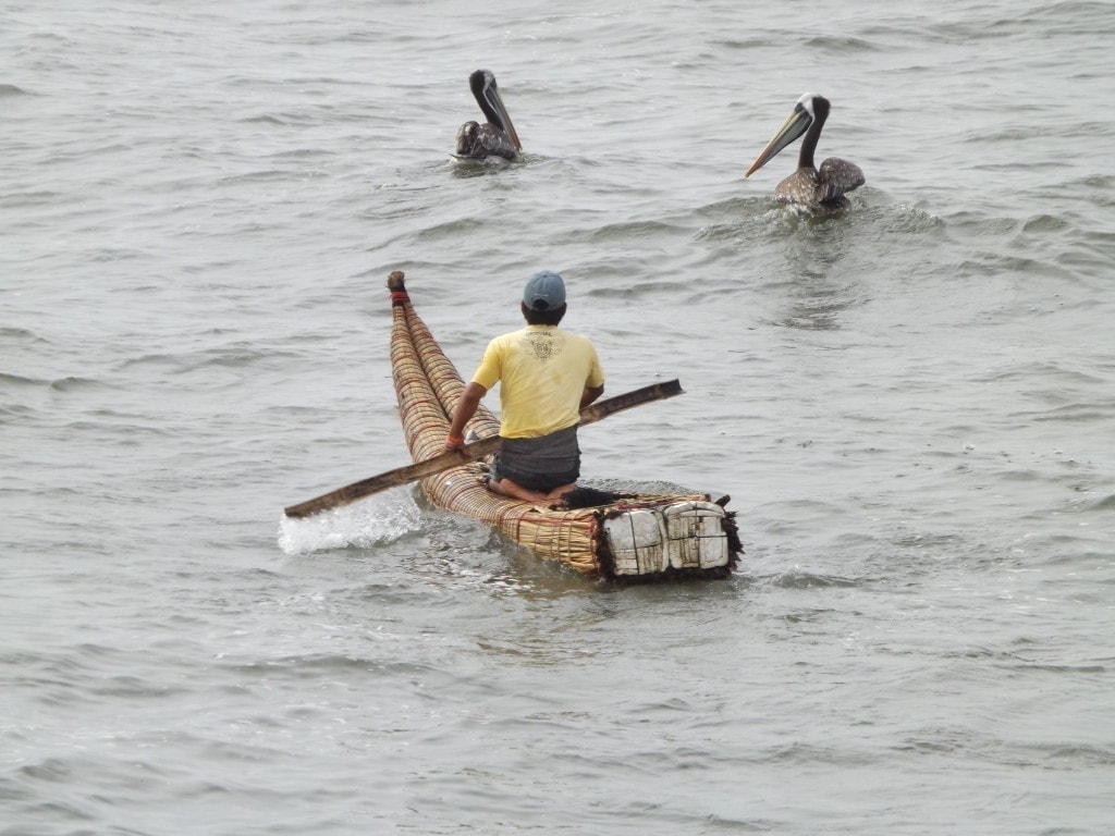 Fisherman, Pimentel