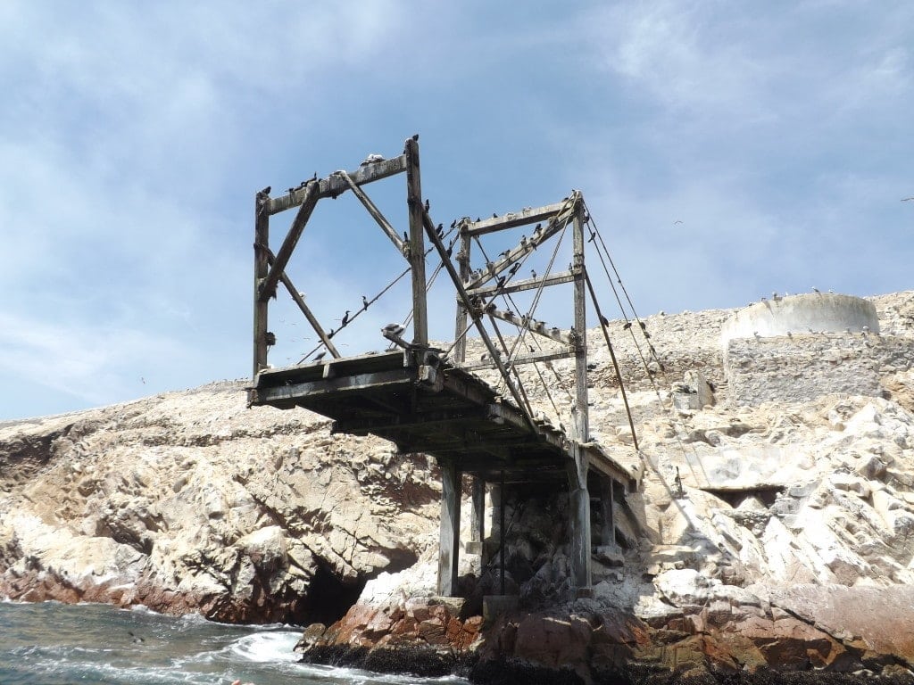 Ballestas Islands, Paracas