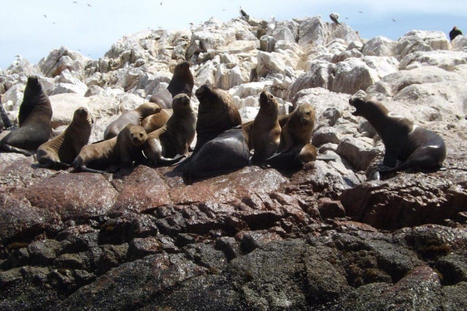 5 of the Best Day and Weekend Trips from Lima
