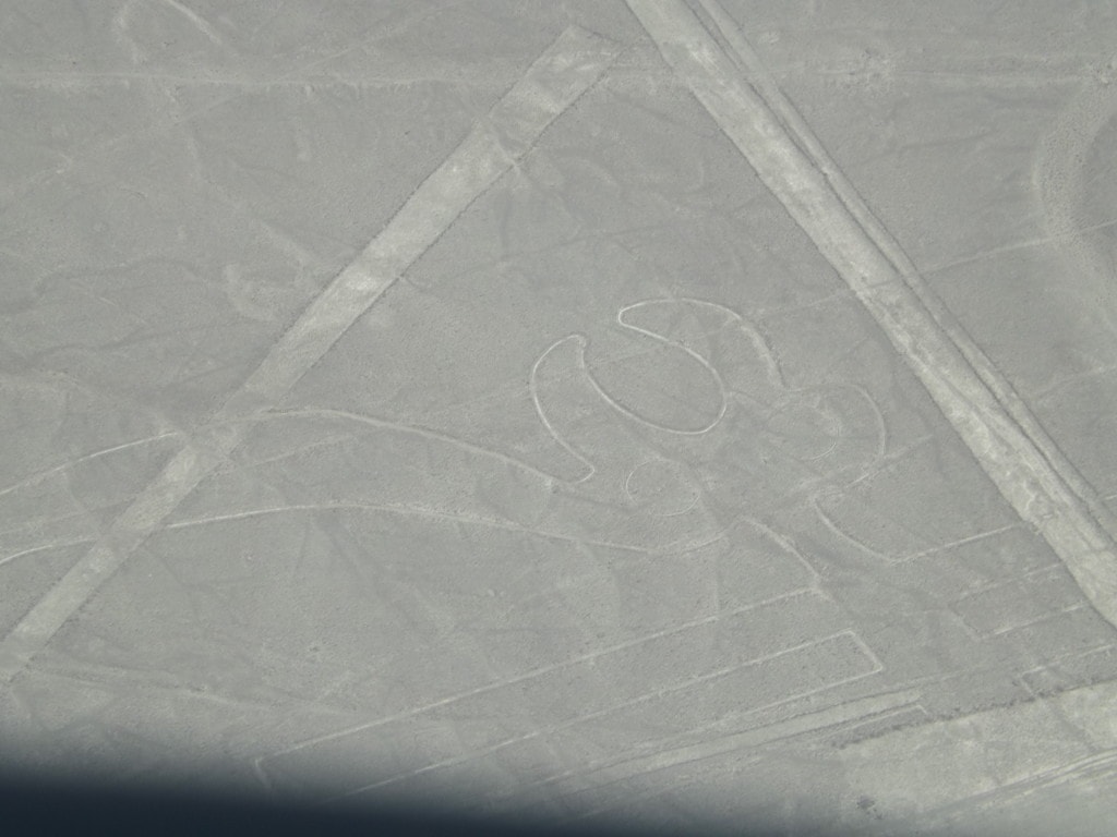 Nazca Lines Flight in Peru - What is it Really Like?