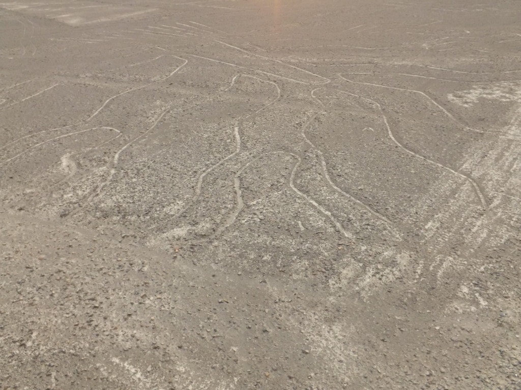 Tree, Nazca