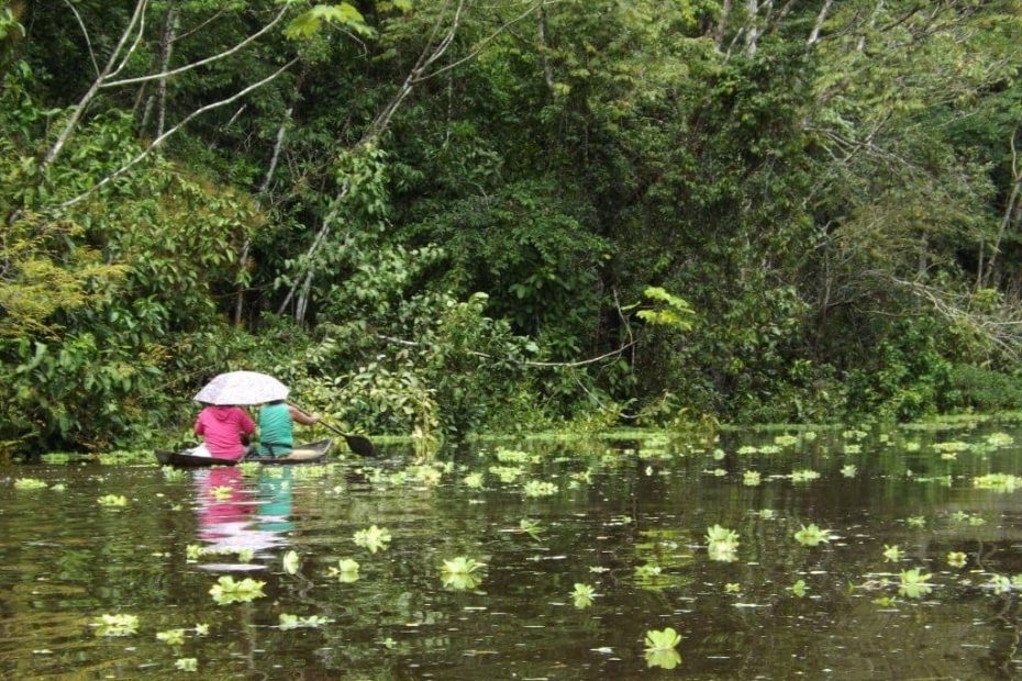 Amazon Jungle Tour in Iquitos - Part Two
