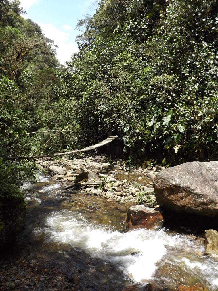 Hiking the Valle de Cocora in Salento