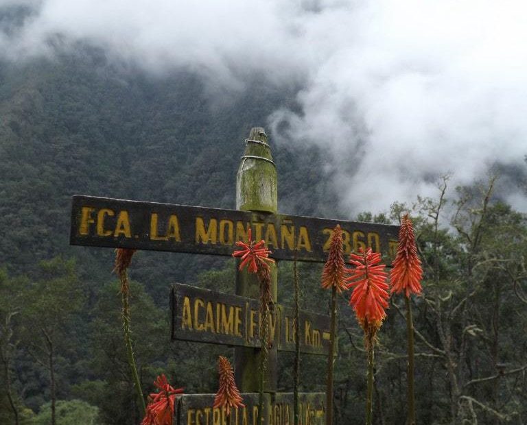Hiking the Valle de Cocora in Salento