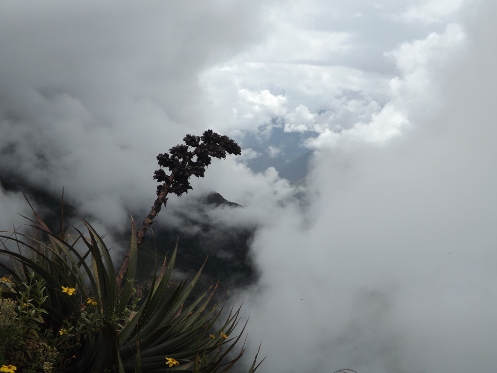 Inca Jungle Trek Day One