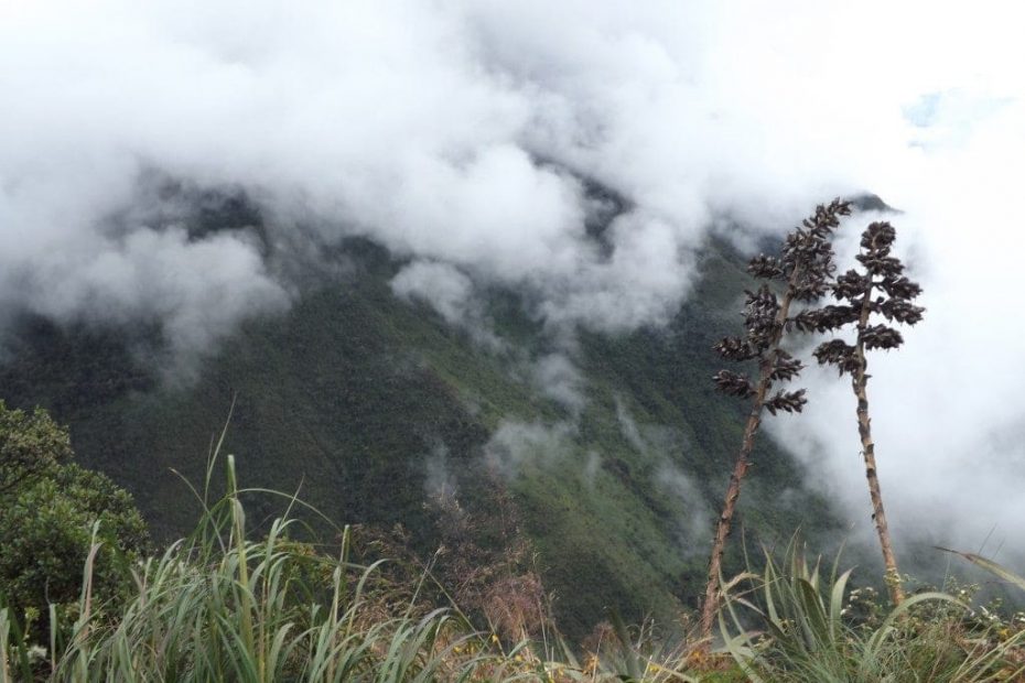 Inca Jungle Trek Peru