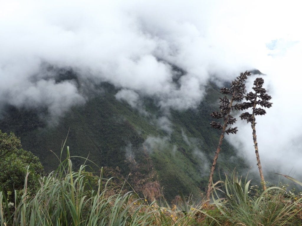 Inca Jungle Trek Day One