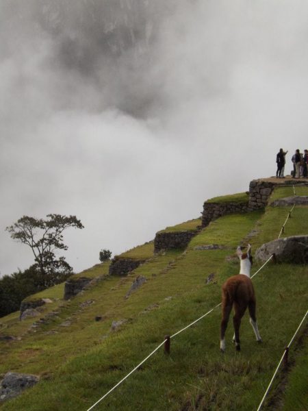 Peru Diaries - Notes and Stories from Backpacking Peru
