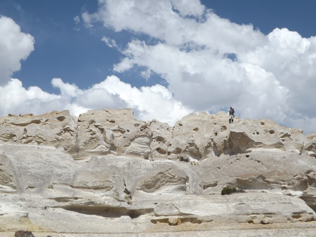 Colca Day One, Stone Forest