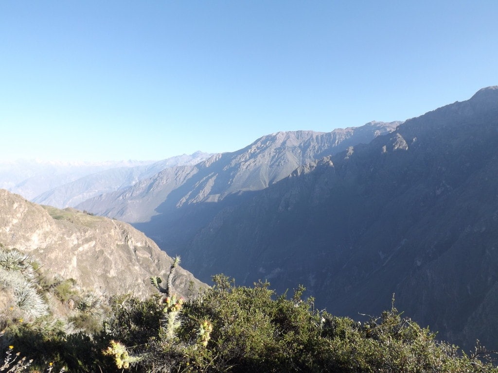 Colca Day Two