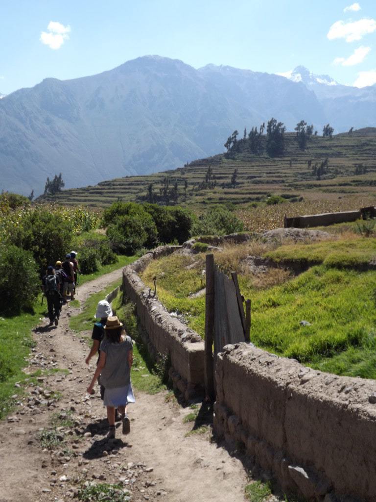 Colca Day Two