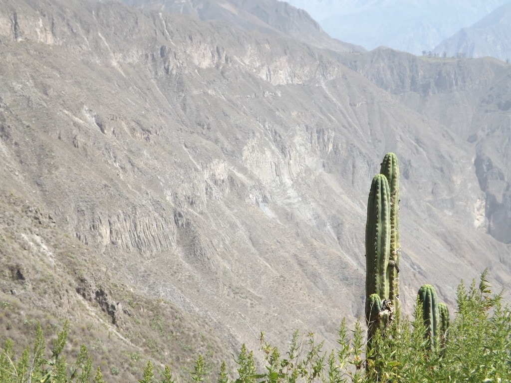 Colca Day Two