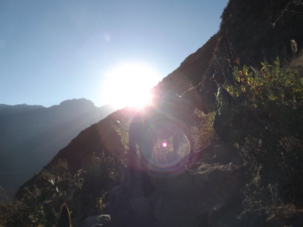 Colca Day Three