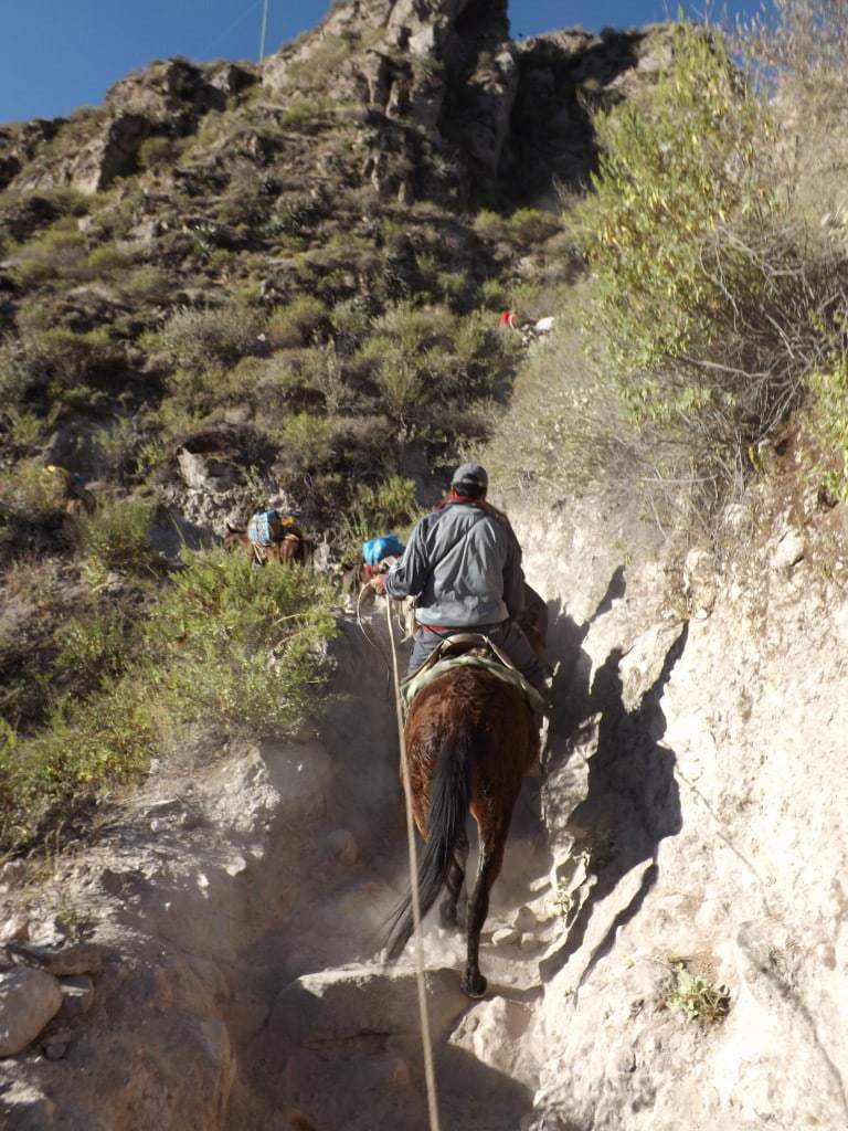 Three Day Colca Canyon Trek, Peru