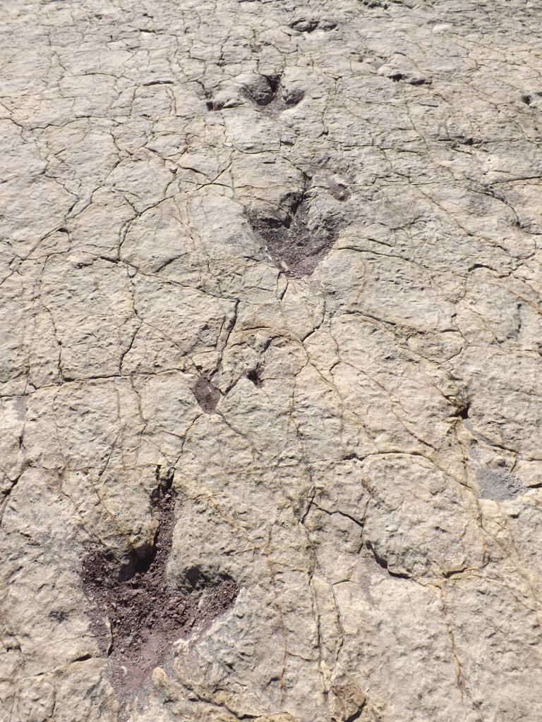 Dinosaur Footprints - Umajalanta, Torotoro