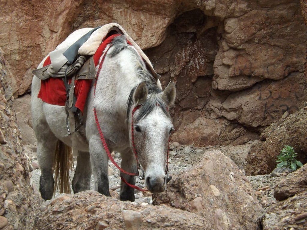 Tupiza - Canyon del Inca