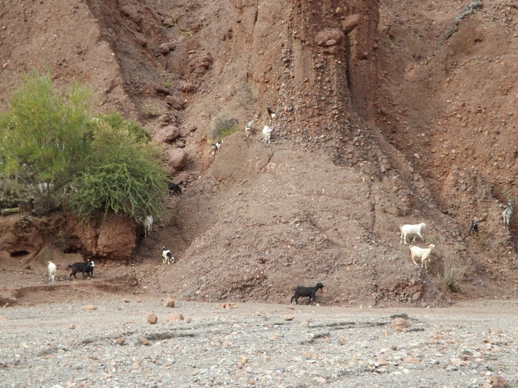 Tupiza - Quebrada de la Palmira