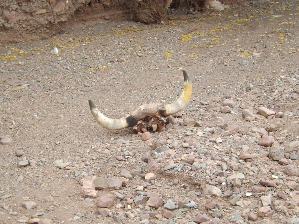 Tupiza - Quebrada de la Palmira