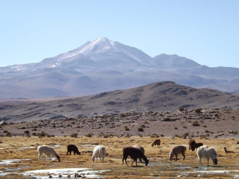 Salar Day Two, Volcan de Uturuncu