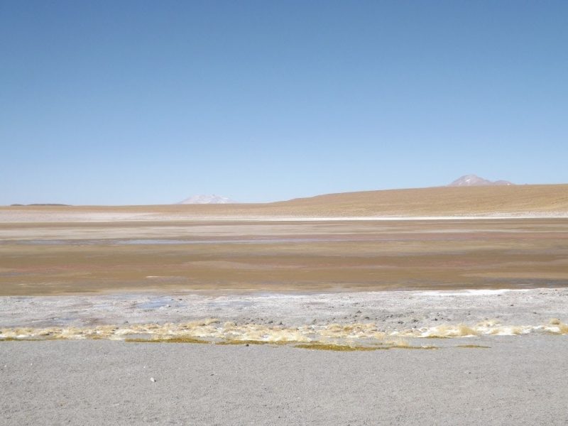 Salar Day Two, Hedionda Lagoon