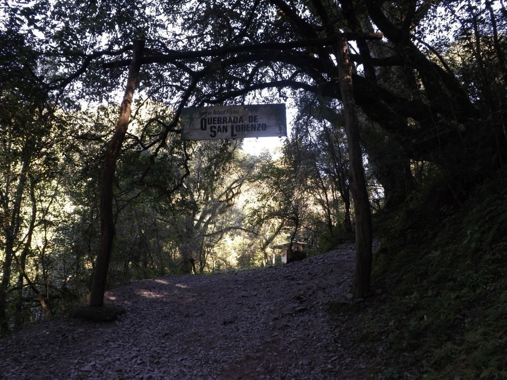 San Lorenzo Hike