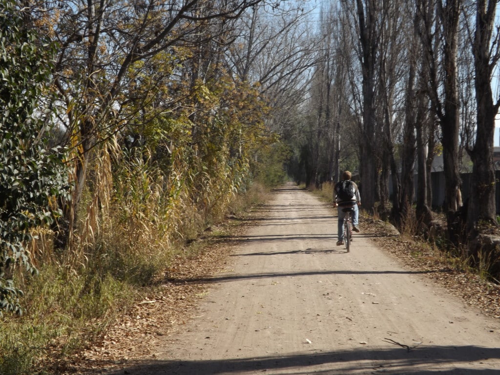 Mendoza Wine Tour 