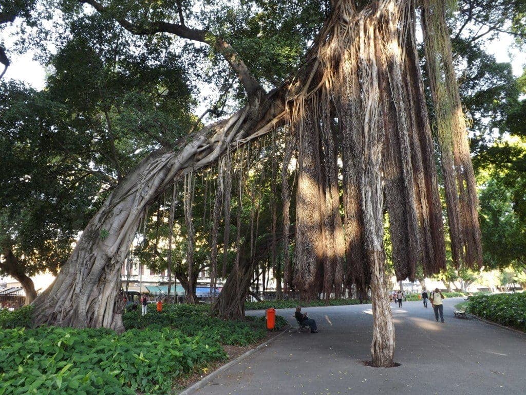 Parque Campos de Santana