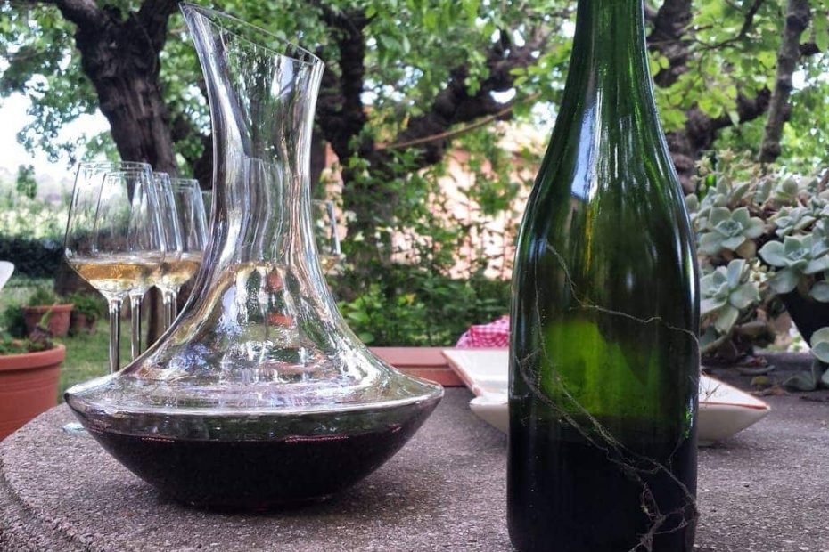 Wine tasting Costa Brava
