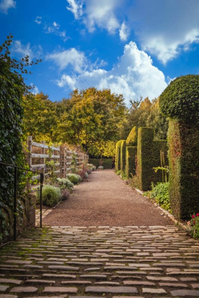 looking down a cobbled and gravel path with green sculpted hedges on the right side and a wooden fence on the other with trees in the distance and blue sky overhead on a sunny day