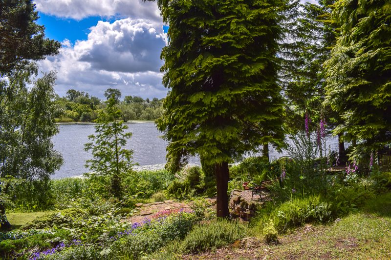 Landscape in Dr Neils Garden Edinburgh, looking between trees towards a river with a woodland on the far side, there are pink foxgloves and small purple wildflowers growing in the grass near the camera