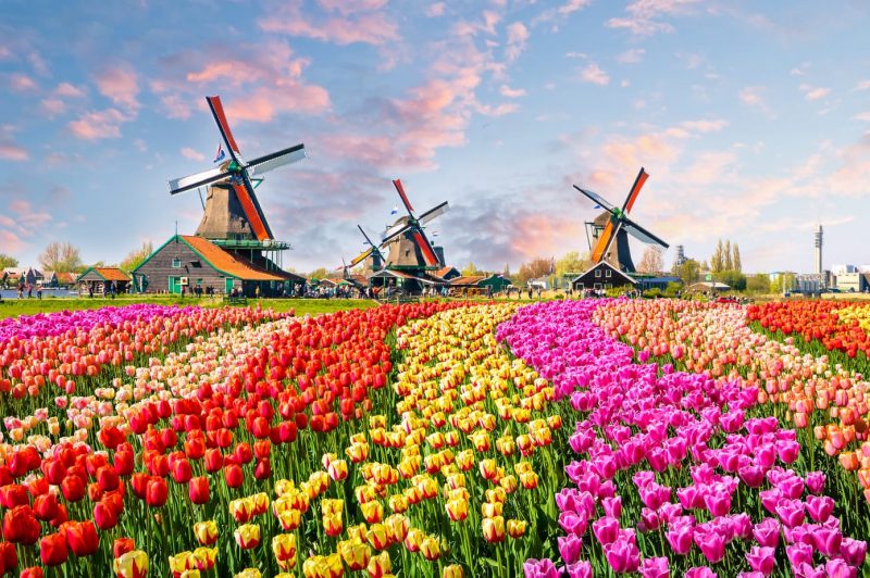 Best Places to Visit in the Netherlands