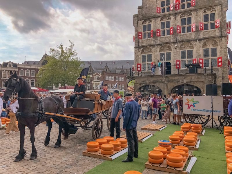 Gouda cheese market