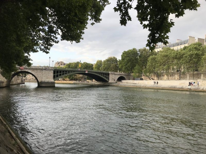 Looking across the River Seine at Square Barye park, the river is quite grey and the sky above is overcast, there is a grey stone and green metal bridge across the river and a beige stone walkway on the far side lined by green leafy trees