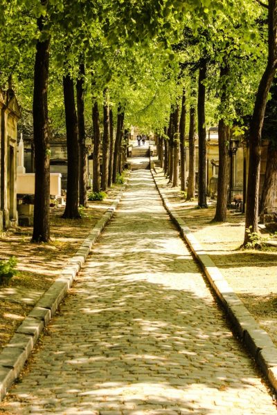 looking down a cobbled stone path in Pere Lachaise cemetery wtih tall leafy trees in a line on either side of the path and the edges of stone graves and tombs visible just behind the trees