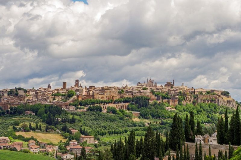 small town of beige coloured buildings on top of a green hill with cypress trees in foreground 