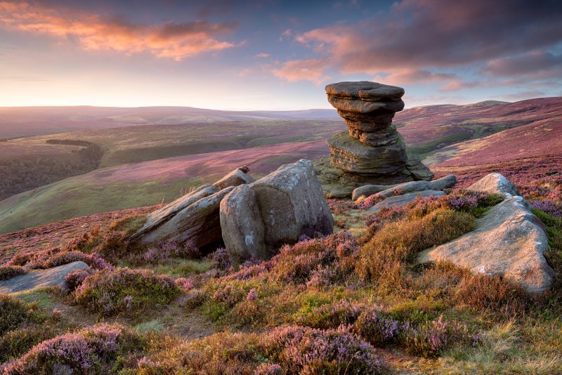 A picturesque landscape in the Peak District with a unique rock formation in the foreground, surrounded by blooming heather and rolling hills under a dramatic sky.