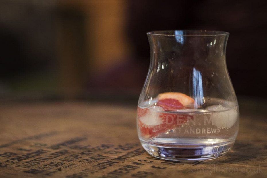 Best Scottish Gin Distilleries