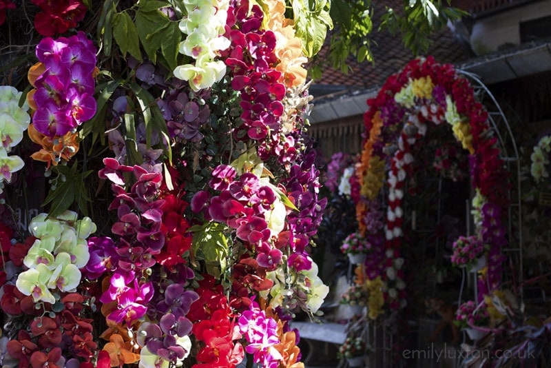 Exploring Chiang Mai by Moped