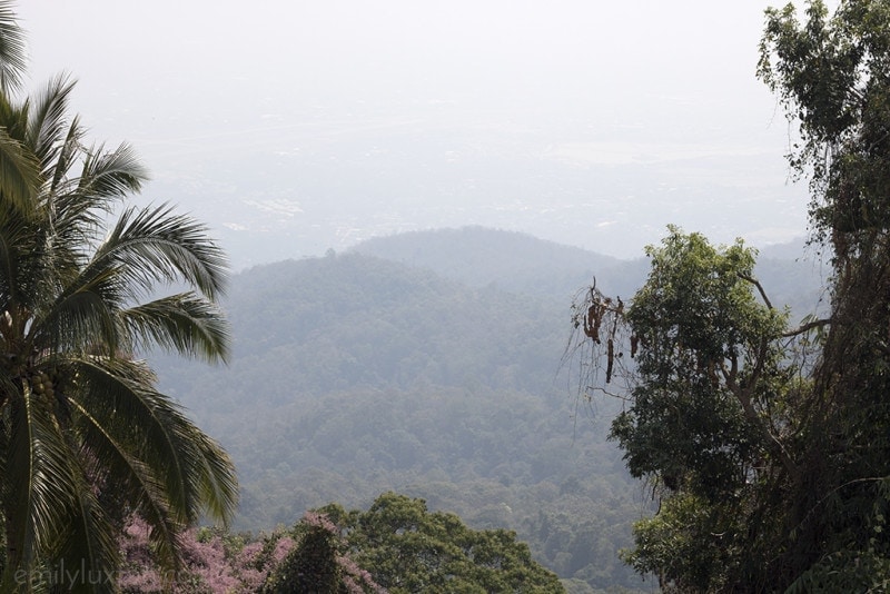 Exploring Chiang Mai by Moped