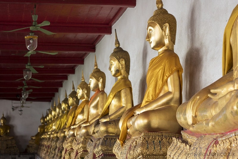 a row of golden buddha statues, all in cross legged position, against the white wall of Wat Mahathat temple in bangkok